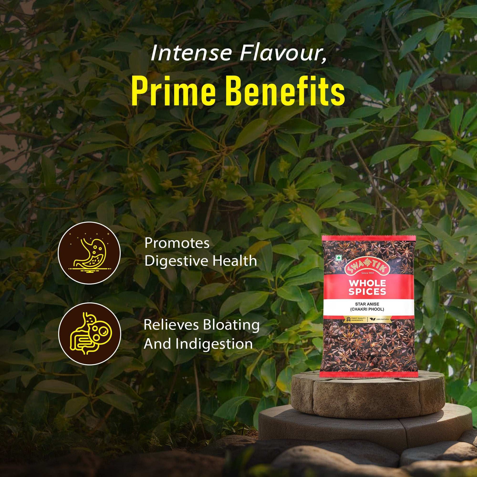 Swastik Star Anise (Chakri Phool) pack placed outdoors with leafy background, highlighting health benefits like promoting digestion and relieving bloating and indigestion.