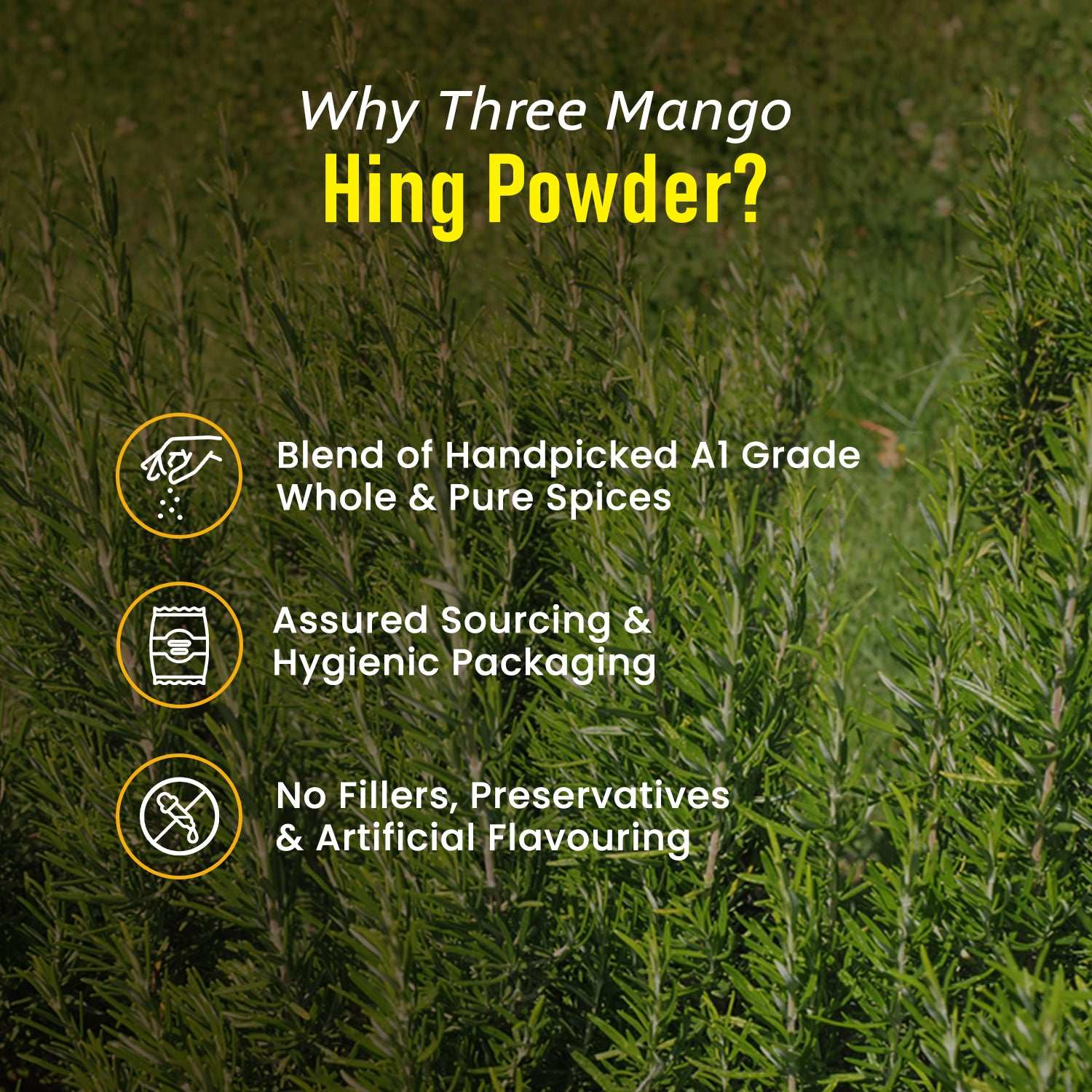 benefits of Three Mango Hing Powder – handpicked spices, hygienic packaging, and no fillers.