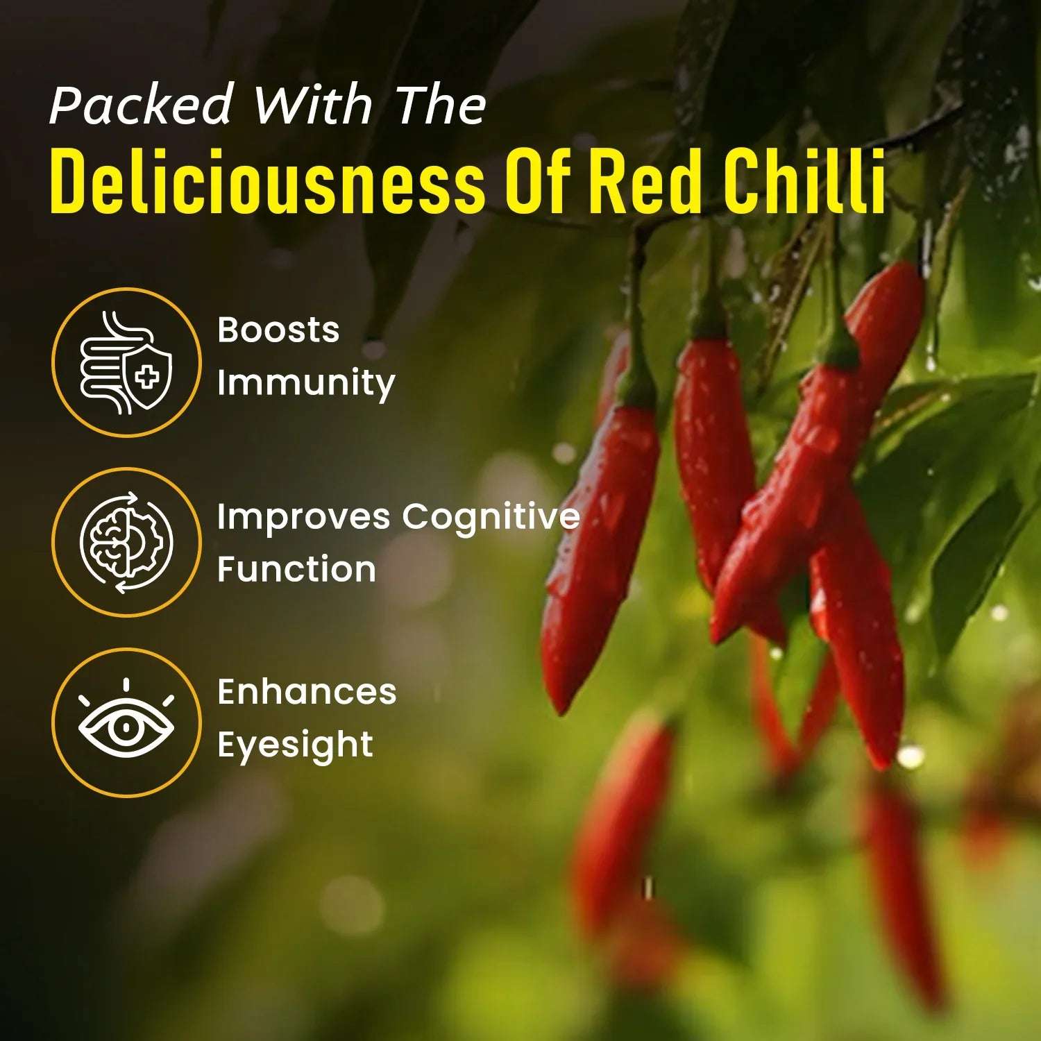 Fresh red chillies on plant with text highlighting health benefits of red chilli: boosts immunity, improves cognitive function, enhances eyesight